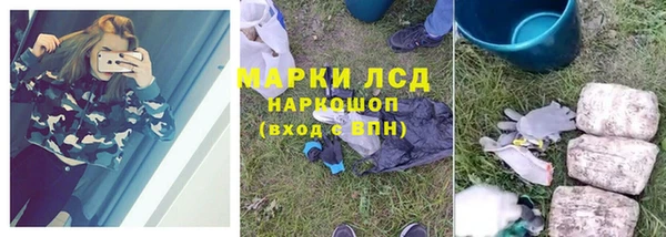 гашик Липки