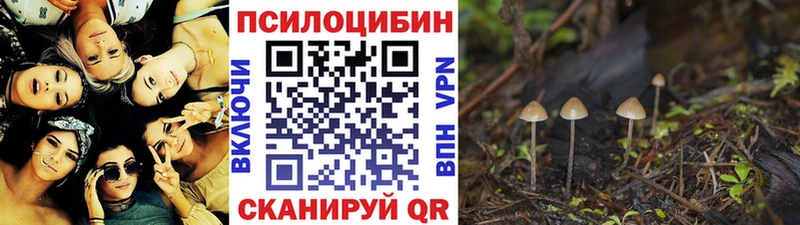 Купить закладки  Любань  Псилоцибиновые грибы MAGIC MUSHROOMS 