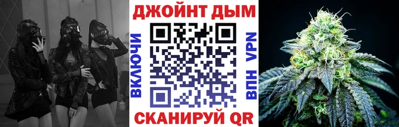Бошки Шишки планчик  Купить где  Любань 